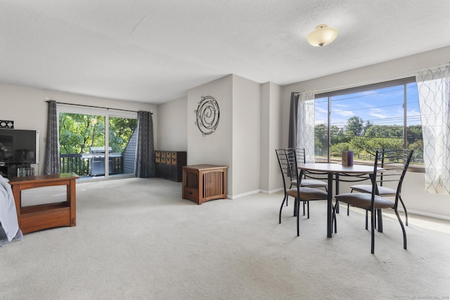 196 New Haven Ave Unit 101, Derby, CT 06418 - photo 5