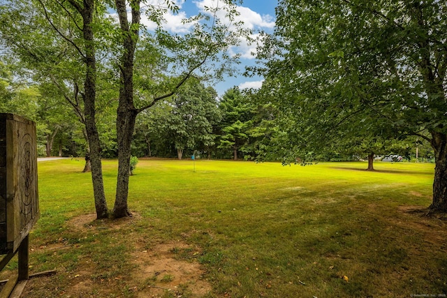 81 Lovers Ln, Plainfield, CT 06374 - photo 34