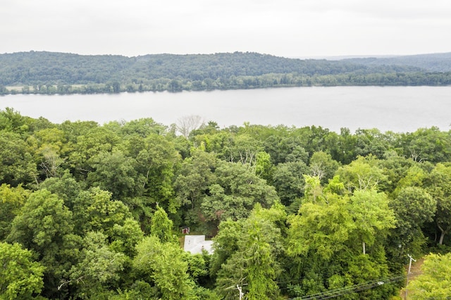1086 Saybrook Rd, Haddam, CT 06438 - photo 1