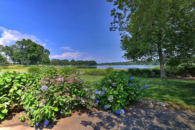 8 Captains Walk, Milford, CT 06460 - photo 7