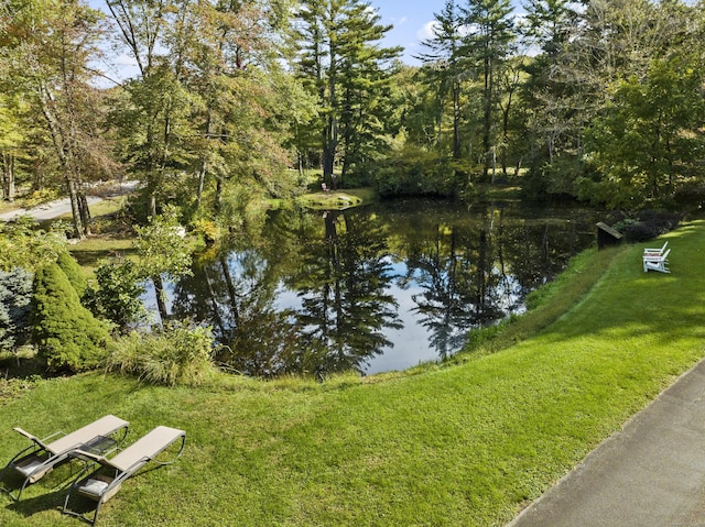 6 Tantummaheag Rd, Old Lyme, CT 06371 - photo 30