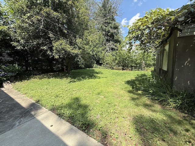 427 Sylvan Ave, Waterbury, CT 06706 - photo 5