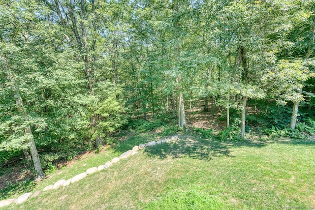 80 Mount Sumner Dr, Bolton, CT 06043 - photo 32