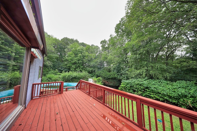 3 Rozum Cir, Prospect, CT 06712 - photo 36