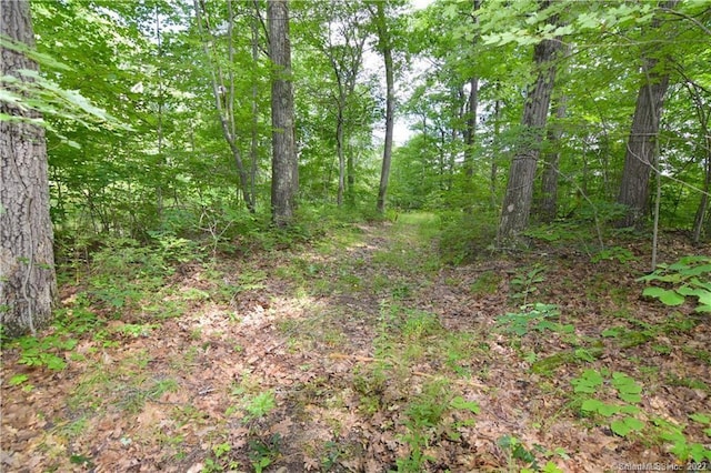 0 Bucks Hill Rd, Waterbury, CT 06701