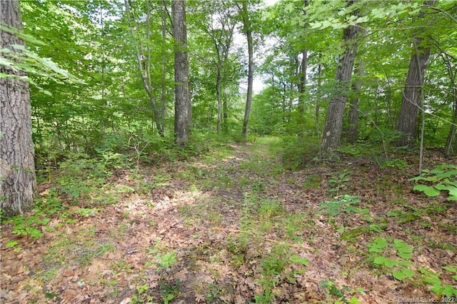 0 Bucks Hill Rd, Waterbury CT, 06701 land for sale