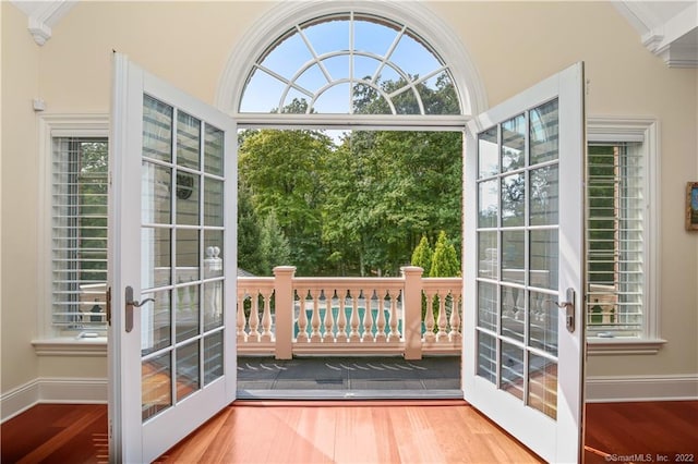 doorway featuring french doors, dark hardwood / wood-style floors, and a healthy amount of sunlight