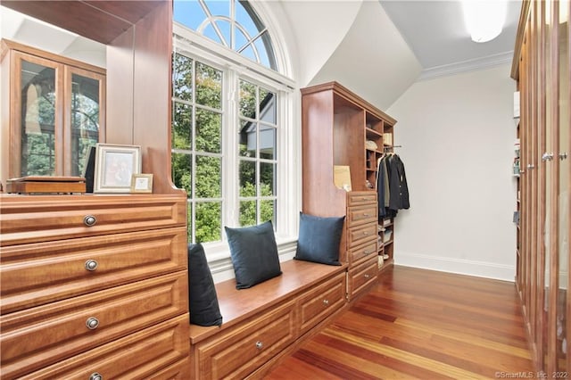 interior space with lofted ceiling, ornamental molding, plenty of natural light, and dark hardwood / wood-style floors