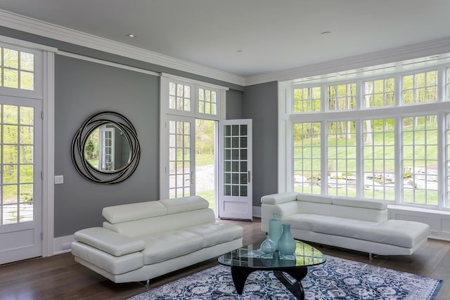 living area with baseboards, crown molding, and dark wood-type flooring