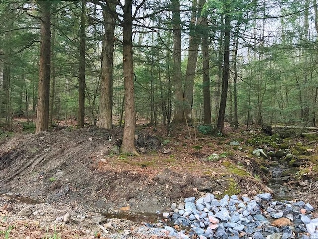 393 Winchester Rd, Winchester CT, 06098 land for sale