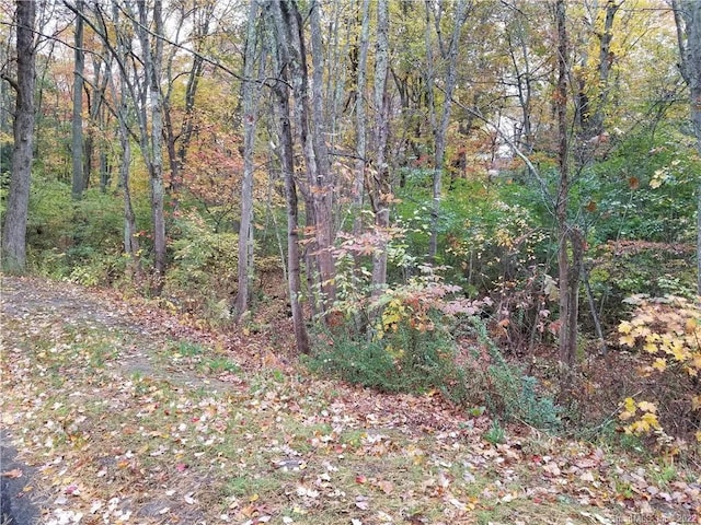 0 Brick Kiln Rd, Harwinton CT, 06791 land for sale