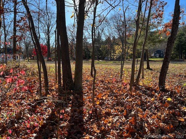 1617 Mount Vernon Rd, Southington, CT 06489