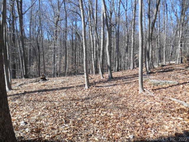 Address Not Disclosed, Stamford CT, 06904 land for sale