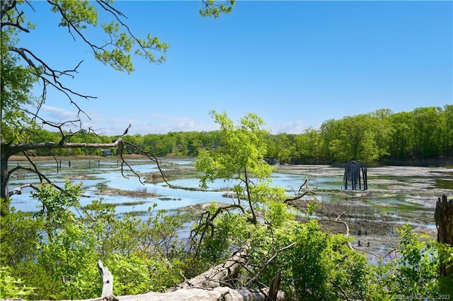 12 Bowhay Hill Rd, Branford, CT 06405