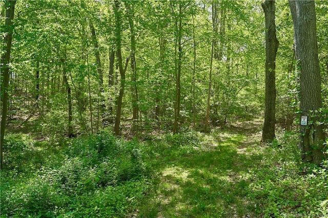 12 Bowhay Hill Rd, Branford, CT 06405