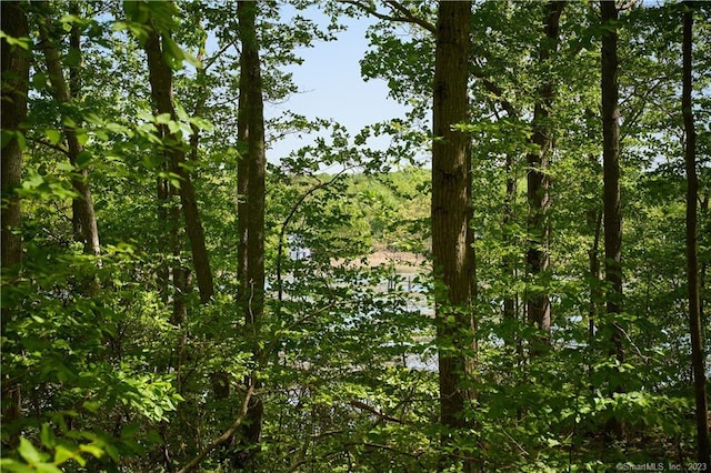 12 Bowhay Hill Rd, Branford, CT 06405