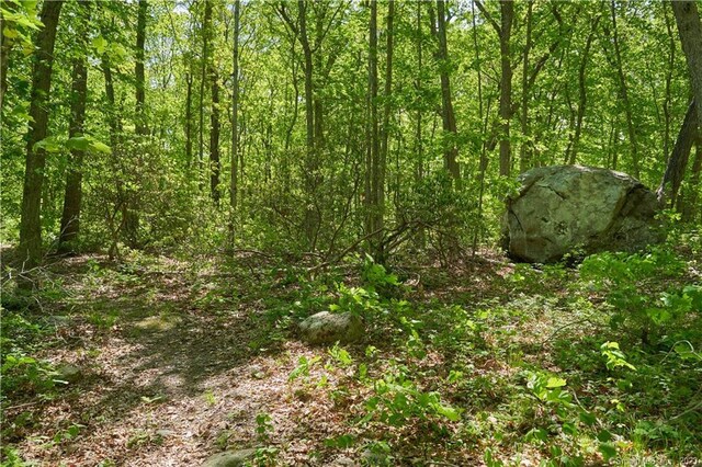 12 Bowhay Hill Rd, Branford, CT 06405