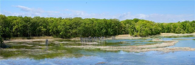 12 Bowhay Hill Rd, Branford, CT 06405