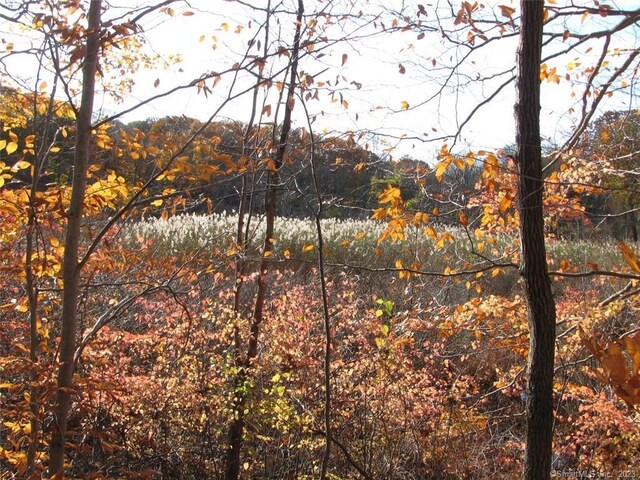 12 Bowhay Hill Rd, Branford, CT 06405