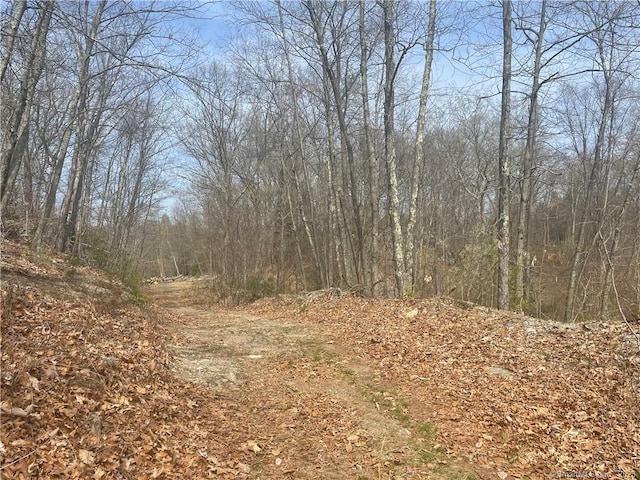 0 Old Mill Rd, Wilton, CT 06897 - photo 4