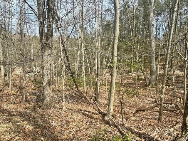 0 Old Mill Rd, Wilton, CT 06897 - photo 7