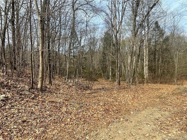 0 Old Mill Rd, Wilton, CT 06897 - photo 10