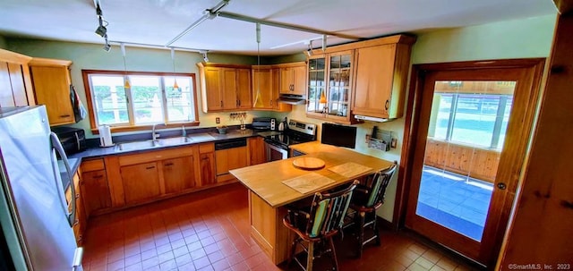 kitchen featuring track lighting, appliances with stainless steel finishes, and a healthy amount of sunlight