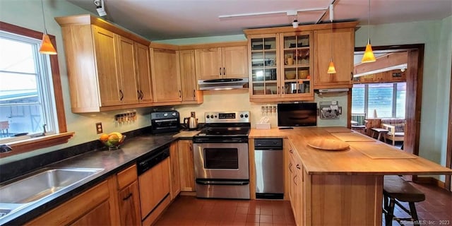 kitchen featuring hanging light fixtures, a healthy amount of sunlight, and stainless steel appliances