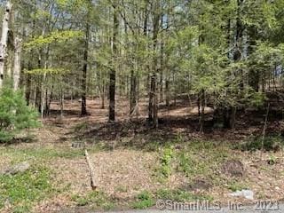 0 Old Colony Rd, Norfolk CT, 06058 land for sale