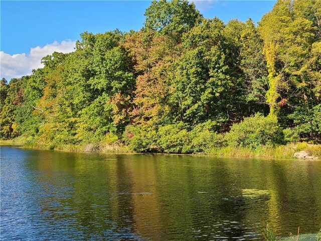 140 Franklin Street Ext, Danbury, CT 06811 - photo 5