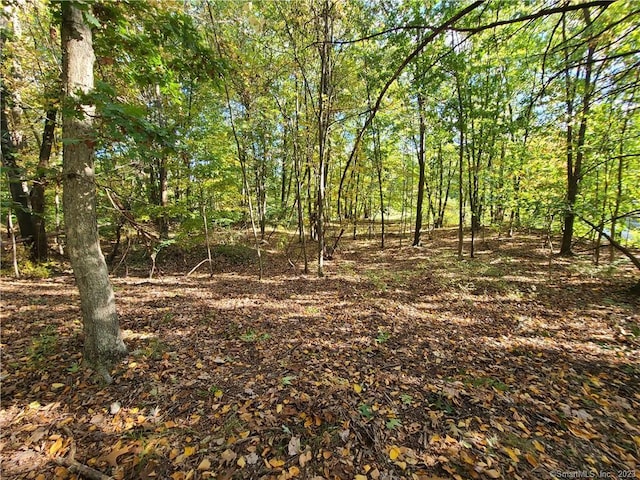140 Franklin Street Ext, Danbury, CT 06811 - photo 10