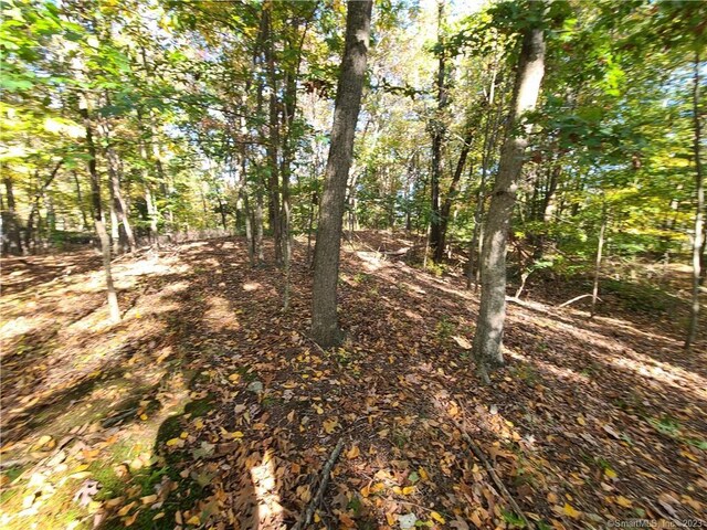 140 Franklin Street Ext, Danbury, CT 06811 - photo 11