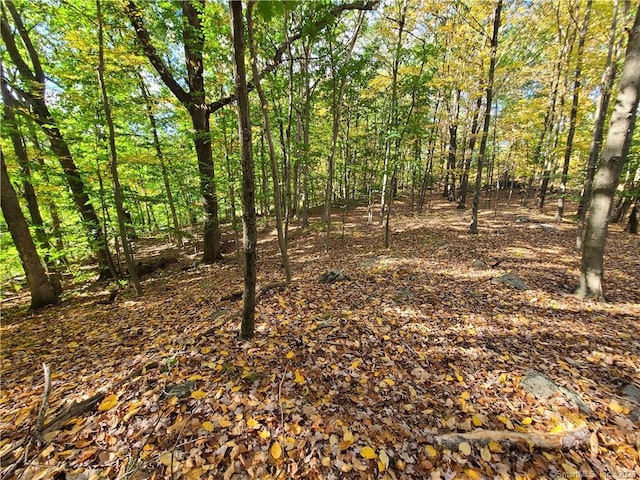 140 Franklin Street Ext, Danbury, CT 06811 - photo 12