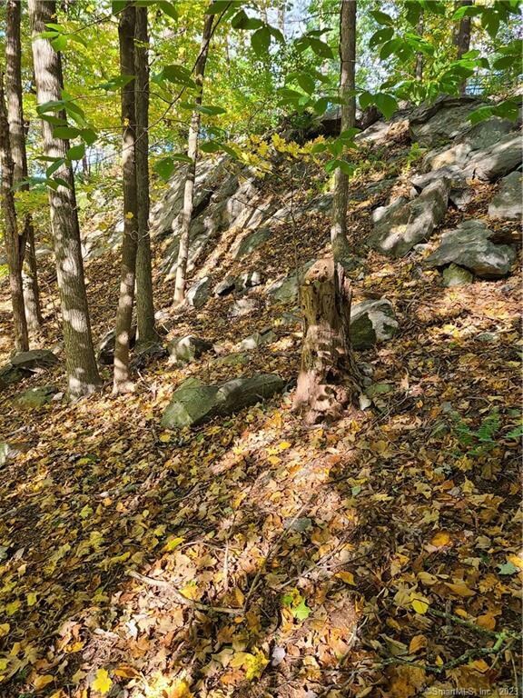 140 Franklin Street Ext, Danbury, CT 06811 - photo 18