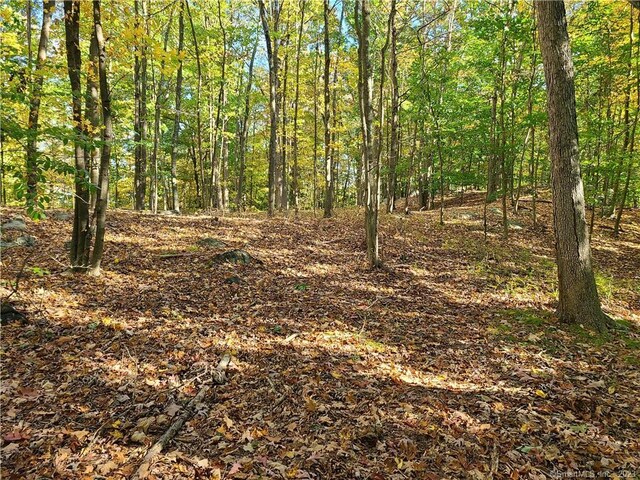 140 Franklin Street Ext, Danbury, CT 06811 - photo 19