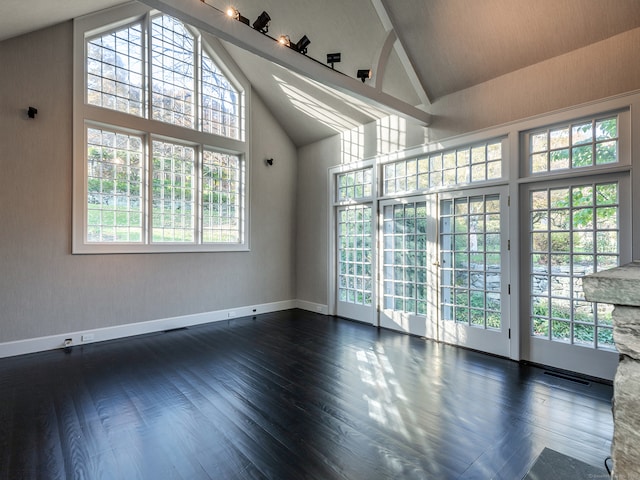 empty room featuring high vaulted ceiling, plenty of natural light, and dark hardwood / wood-style flooring