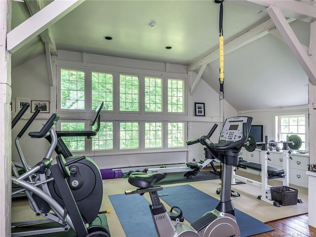 workout area featuring lofted ceiling and wood-type flooring