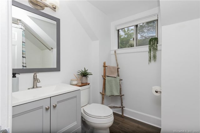 bathroom featuring toilet, vanity, and wood-type flooring