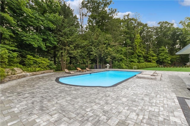 view of swimming pool with a patio area