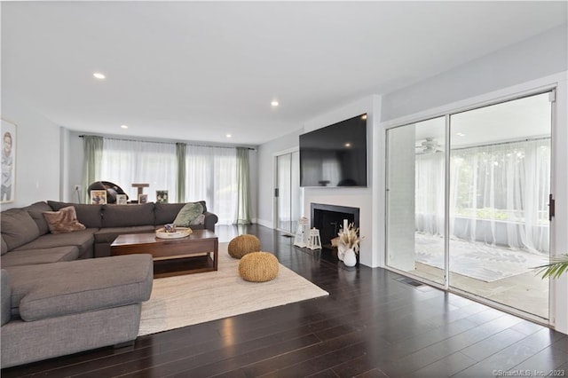 living room featuring dark hardwood / wood-style flooring