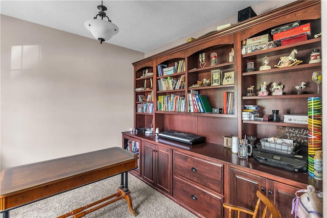 1435 Ashland Ave, Mt Zion, IL 62549 - home office with carpet