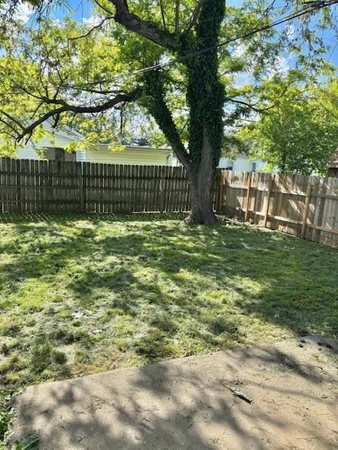 1414 14th St, Charleston, IL 61920 - view of yard