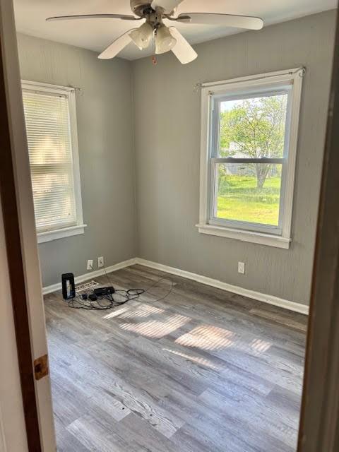 1414 14th St, Charleston, IL 61920 - spare room with wood finished floors, a ceiling fan, and baseboards