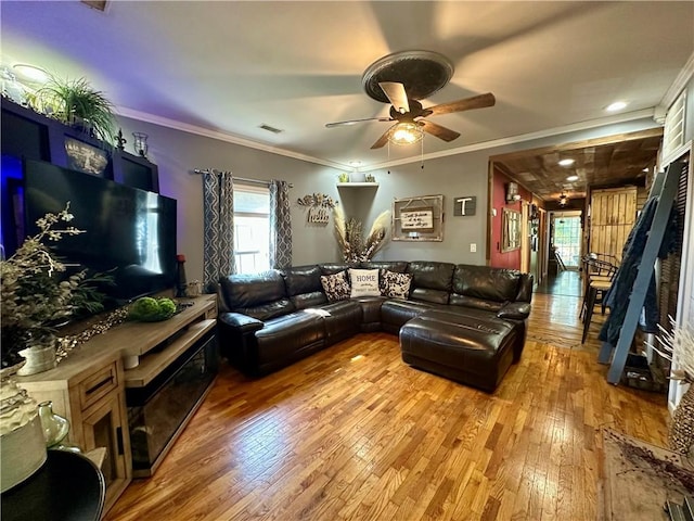 808 Moultrie Ave, Mattoon, IL 61938 - living area featuring light wood finished floors, ceiling fan, and crown molding