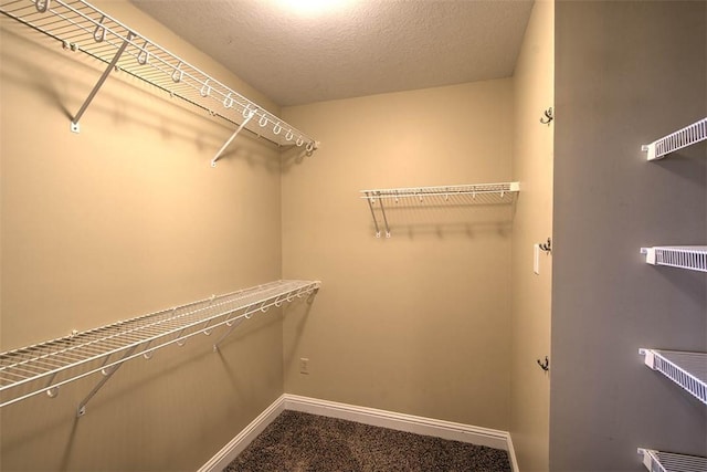 walk in closet featuring carpet
