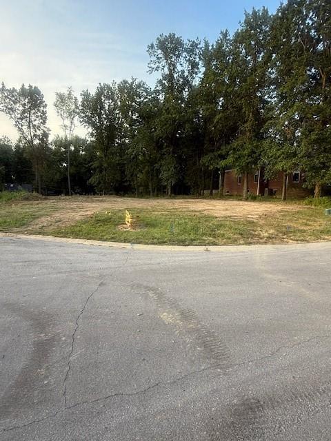 420 Bayside Dr, Danville, IL 61832 - photo 1