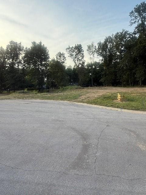 420 Bayside Dr, Danville, IL 61832 - photo 3