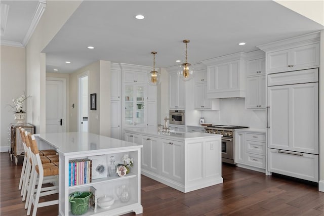 kitchen with light countertops, premium appliances, and a kitchen island with sink