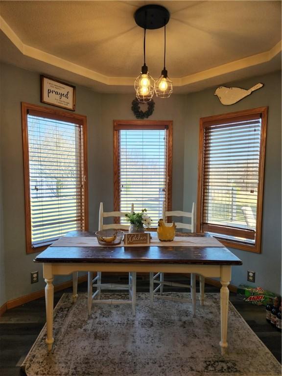 dining room with a tray ceiling, wood finished floors, and a healthy amount of sunlight