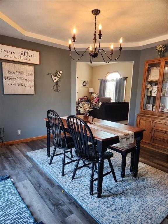 dining space with a raised ceiling, baseboards, and wood finished floors